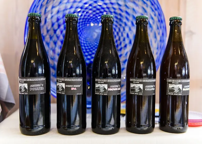 Ruten Fjellstue Гостевой дом 3*