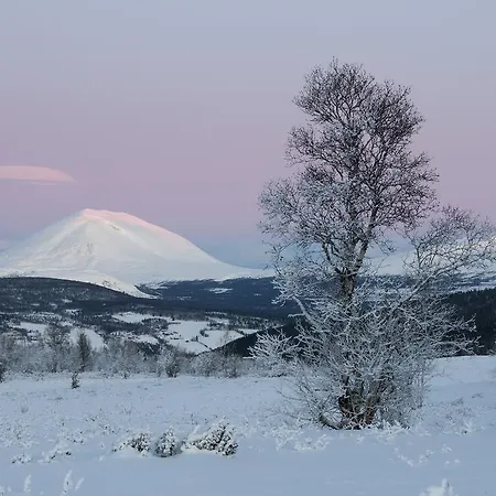 Pensjonat Ruten Fjellstue 3*